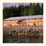 Shearwater Lodge