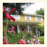 City Gardens B&B photo