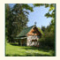 Galiano Captain's Quarters 1894 Heritage Log House photo