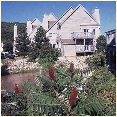 Blue Mountain Chalets photo