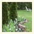Crown Ridge Bed & Breakfast
