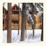 Baker Creek Mountain Resort