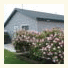Duck Pond B&B Cottage
