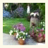 Beachcomber Cottage photo