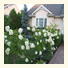 Yolanta's Bed & Breakfast photo