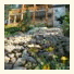 PineWood Bed & Breakfast photo