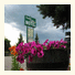 Foothills Motel