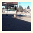 Rimbey Motor Inn