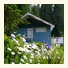 Sand and Sea Cottage photo