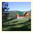 Wildhorse Mountain Guest Ranch Bed & Breakfast