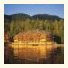 King Pacific Lodge photo