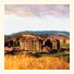 Predator Ridge Resort photo