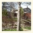 Colonial Creekside Grand Guest House photo