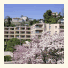 Hotel Sasso Boretto photo