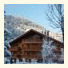 Chalet des Amis photo