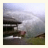 Mountain Hostel Gimmelwald
