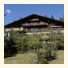 Youth Hostel Grindelwald photo