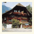Hirschen photo