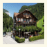 Hotel Steinbock photo