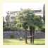 Hotel Villa Marita photo