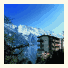Hotel Alpina
