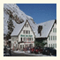 Hotel des Alpes