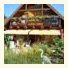 B&B Stein am Rhein