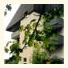 Hotel Garni Home photo