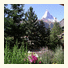 Artist Apartments & Hotel Garni photo