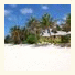 Palm Grove