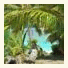 The Cooks Oasis - Holiday Villas photo