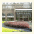 Grand International Hotel photo