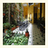 Casa La Fe photo