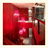 The Charlee Hotel photo