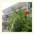 Altamar Beach Apartments & Backpackers