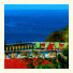 Brovilla Resort Hotel photo