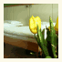 Hotel Museum photo