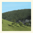 Hotel Traube Tonbach