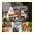 Hirschen-Dorfmühle photo