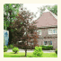 Flair Hotel Zur Eiche photo