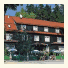 Hotel Grüne Tanne Mandelholz