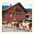 Landgasthof Kirchmayer photo