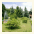 Ferienparadies Waldidylle