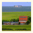 Hotel Nige Hus photo