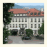 Schwarzer Bär Jena