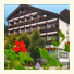 Hotel Pflug photo