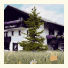 Hotel-Garni Bergidyll photo