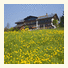 Landhotel Schwarzenbach photo