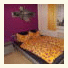 Ferienwohnung am Europapark photo
