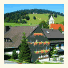 Landhotel Mühle zu Gersbach
